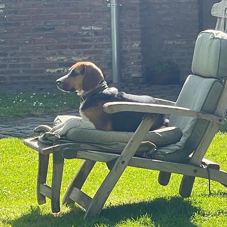 Ma Campagne Bed & Breakfast Heusden Luaran gambar
