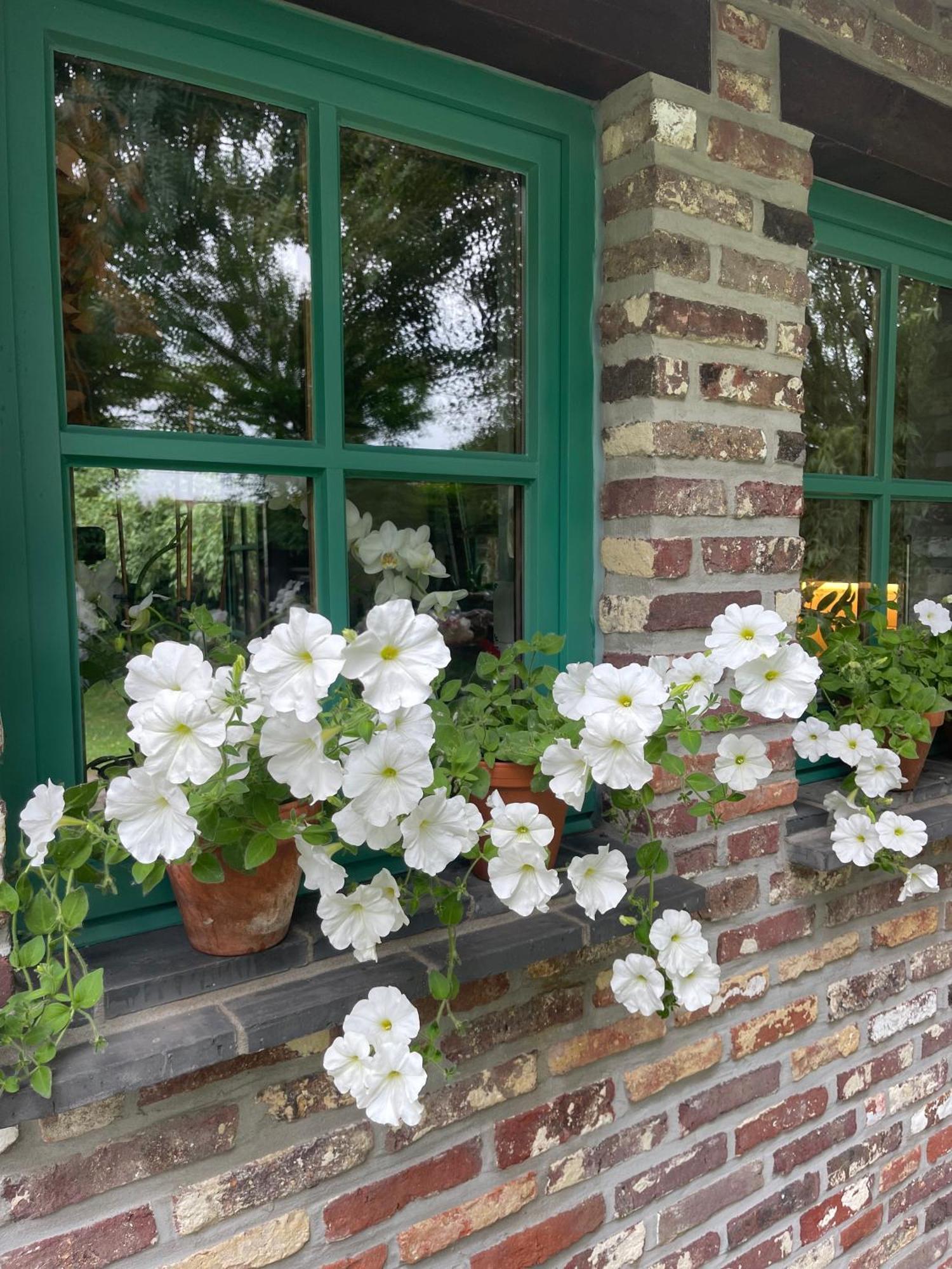 Ma Campagne Bed & Breakfast Heusden Luaran gambar
